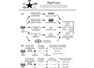 StarFunc: Revolutionizing Protein Function Prediction Leveraging Template-based and Deep Learning Approaches StarFunc: Revolutionizing Protein Function Prediction Leveraging Template-based and Deep Learning Approaches
