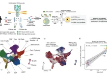 Decoding VEXAS Syndrome: How Single-Cell Genotype-Phenotype Mapping Identifies New Treatment Avenues Decoding VEXAS Syndrome: How Single-Cell Genotype-Phenotype Mapping Identifies New Treatment Avenues