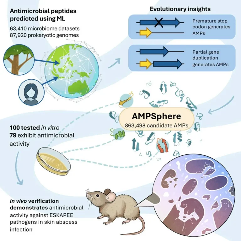 Machine Learning Unveils a Million Potential Antimicrobial Peptides in the Global Microbiome