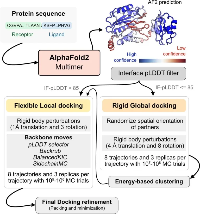 Leveraging AlphaFold, Rosetta, and Replica-Exchange for Reliable Protein-Protein Docking with AlphaRED