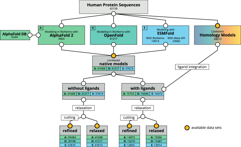 BioNeMo Folds the Human Proteome: A Fused Dataset of 3D Protein Models for Machine Learning Applications