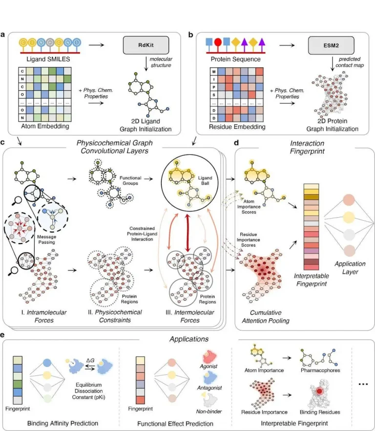 Accelerating the Path to New Medicines: Monash's Innovative AI Tool for Fast and Cost-Effective Drug Discovery
