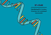 RNAfold: Leveraging Variational Autoencoders for Accurate RNA Tertiary Structure Prediction RNAfold: Leveraging Variational Autoencoders for Accurate RNA Tertiary Structure Prediction