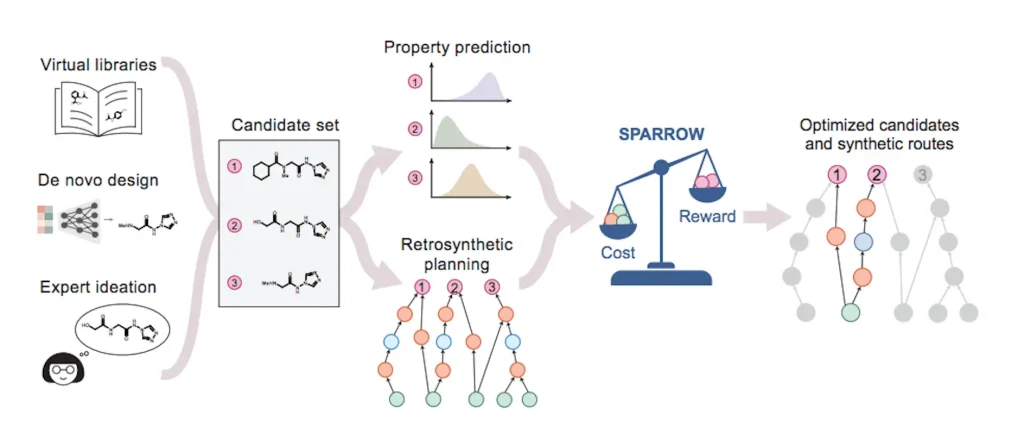 Streamlining Drug Discovery: How SPARROW Picks the Most Promising Molecules