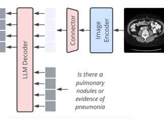 AI and Biomedicine: Enhancing Diagnosis with Vision-Language Models AI and Biomedicine: Enhancing Diagnosis with Vision-Language Models