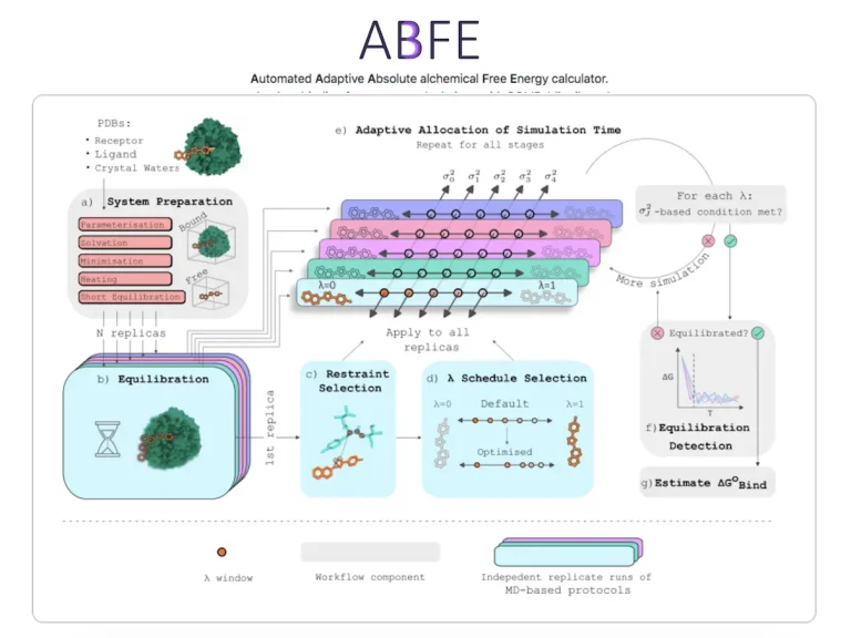 Streamlining Drug Discovery with Automated Binding Free Energy Calculations