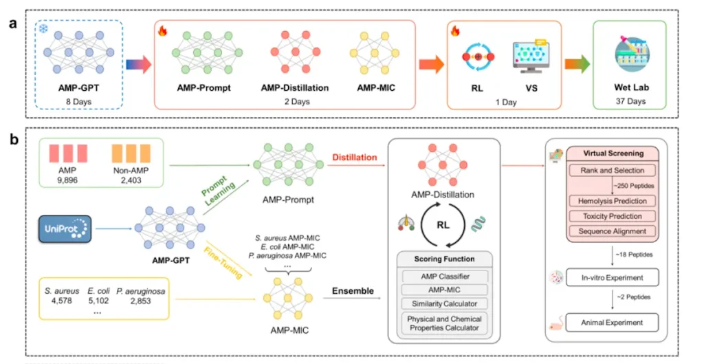 Harnessing Foundation Model for Antimicrobial Peptide Design: A New Frontier in AI-Led Scientific Discovery