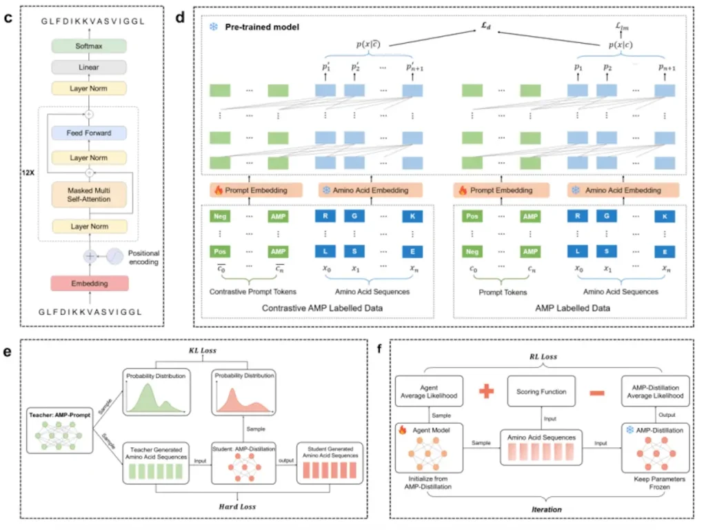 Harnessing Foundation Model for Antimicrobial Peptide Design: A New Frontier in AI-Led Scientific Discovery