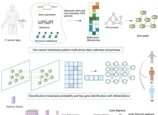 Cracking the Metastasis Code: MetaGXplore’s Breakthrough in Pan-Cancer Diagnosis Cracking the Metastasis Code: MetaGXplore's Breakthrough in Pan-Cancer Diagnosis