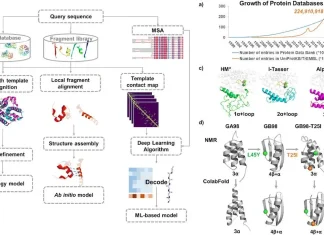 Harnessing Computational Tools: How Machine Learning and Molecular Simulations are Transforming Enzyme Design Navigating the Landscape of Enzyme Design: From Molecular Simulations to Machine Learning
