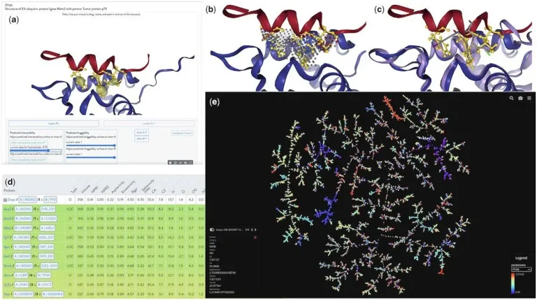 The Protein Interaction Explorer (PIE) Platform: Revolutionizing the Study of Protein-Protein Interactions and Ligand Binding Pockets