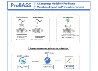 ProBASS: A Game-changer in Predicting Mutation Impact on Protein Interactions ProBASS: A Game-Changer in Predicting Mutation Impact on Protein Interactions