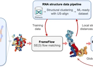 RNA-FrameFlow: Pioneering 3D RNA Backbone Design with Flow Matching RNA-FrameFlow: Pioneering 3D RNA Backbone Design with Generative AI