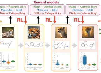 Optimizing Diffusion Models for Biological Applications: A Deep Dive into Reinforcement Learning-based Fine-Tuning Optimizing Diffusion Models for Biological Applications: A Deep Dive into RL-Based Fine-Tuning