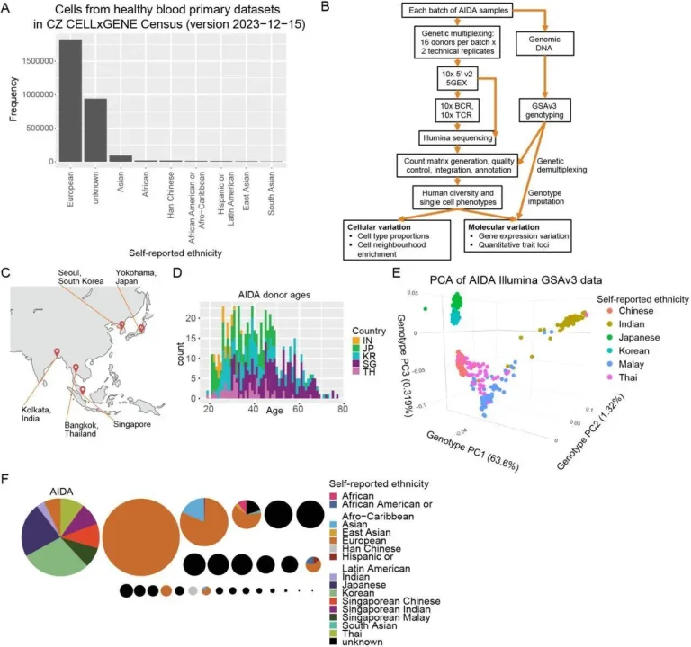 Exploring Human Diversity Through Single-cell Analysis of Circulating Immune Cells