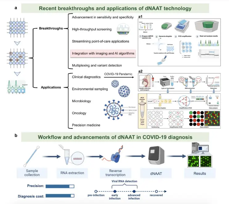 AI-Powered Digital Nucleic Acid Amplification Testing: Transforming Precision Medicine and Molecular Diagnostics