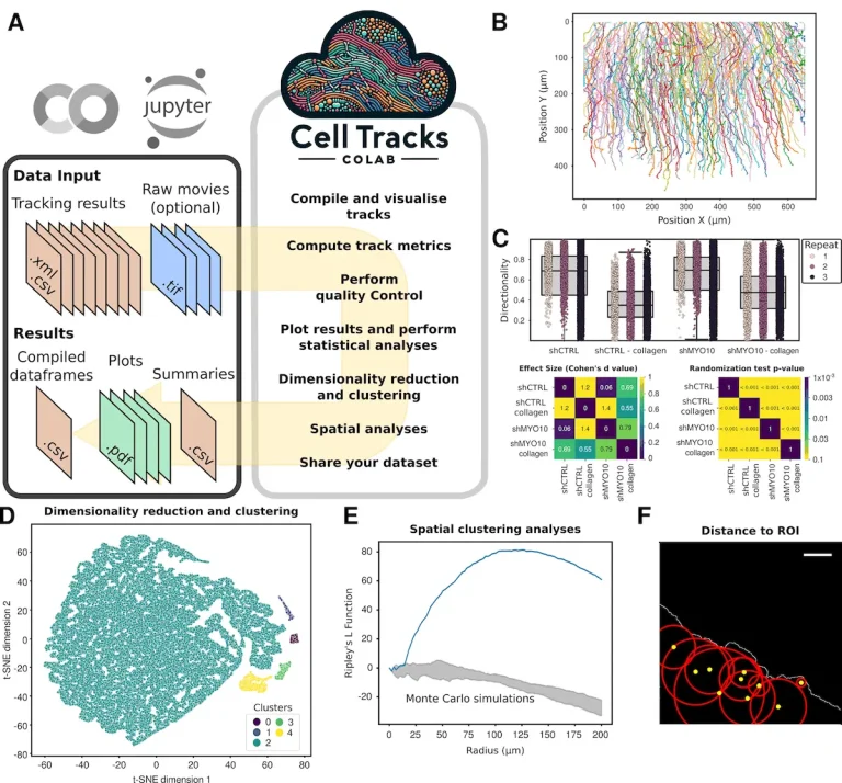 CellTracksColab: A Breakthrough Platform for Cell Tracking Data Analysis