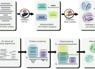 Navigating the AlphaFold Universe with DPCstruct’s Domain-Level Classification Navigating the AlphaFold Universe with DPCstruct's Domain-Level Classification
