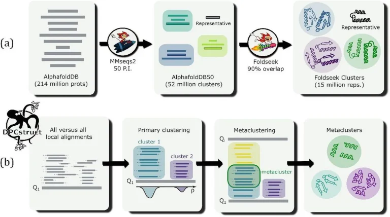 Navigating the AlphaFold Universe with DPCstruct's Domain-Level Classification