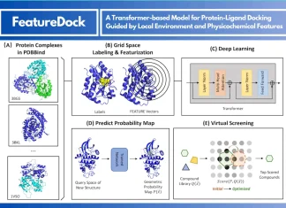 FeatureDock: Revolutionizing Protein-Ligand Docking with Transformer-Based Local Environment Learning FeatureDock: Revolutionizing Protein-Ligand Docking with Transformer-Based Local Environment Learning