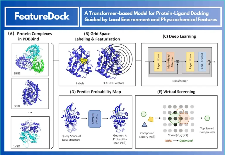 FeatureDock: Revolutionizing Protein-Ligand Docking with Transformer-Based Local Environment Learning