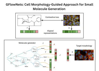Shaping the Future of Drug Design: GFlowNets and Cell Morphology-Guided Approach Shaping the Future of Drug Design: GFlowNets and Cell Morphology-Guided Approach
