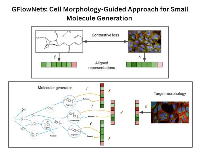 Shaping the Future of Drug Design: GFlowNets and Cell Morphology-Guided Approach