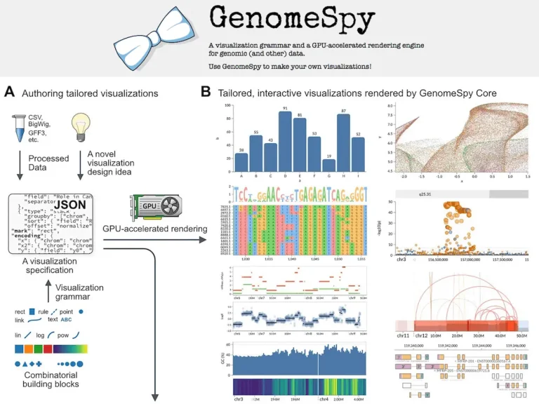 Breaking Down Cancer Genomes: The Innovative Visualization Toolkit GenomeSpy