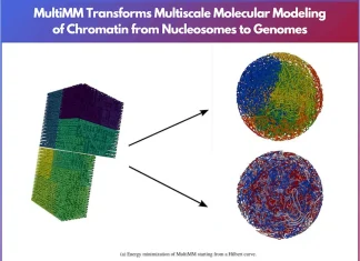 Exploring Chromatin: How MultiMM Transforms Multiscale Molecular Modeling from Nucleosomes to Genomes Exploring Chromatin: How MultiMM Transforms Multiscale Molecular Modeling from Nucleosomes to Genomes