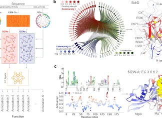 Oxford Researchers Breakthrough in Predicting Protein Function from Sequence Alone Using Statistics-Informed Graph Networks Revolutionizing Protein Function Prediction with Statistics-Informed Graph Networks