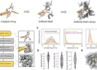 Breaking New Ground in Protein Engineering: Riff-Diff and the Creation of High-Performance Enzymes Breaking New Ground in Protein Engineering: Riff-Diff and the Creation of High-Performance Enzymes