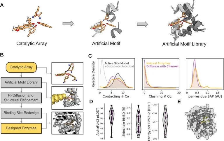 Breaking New Ground in Protein Engineering: Riff-Diff and the Creation of High-Performance Enzymes