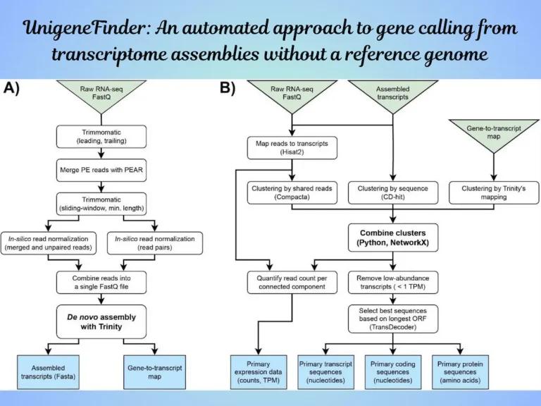Streamlining Gene Identification: UnigeneFinder's Automated Approach to Reference-Free Transcriptome Analysi