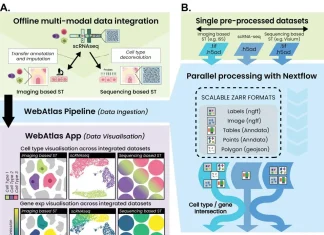 WebAtlas: A Powerful Tool for Integrated Single Cell and Spatial Transcriptomic Data Analysis WebAtlas: A Powerful Tool for Integrated Single Cell and Spatial Transcriptomic Data Analysis