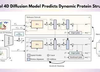 Unleashing the Power of Dynamics: A 4D Diffusion Approach to Protein Structure Prediction Unleashing the Power of Dynamics: A 4D Diffusion Approach to Protein Structure Prediction