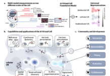 The Future of Cell Modeling: Building Virtual Cells with Artificial Intelligence The Future of Cell Modeling: Building Virtual Cells with Artificial Intelligence