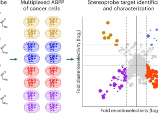 How Scripps Research Is Pioneering New Approaches to Slow Cancer Growth How Scripps Research Is Pioneering New Approaches to Slow Cancer Growth
