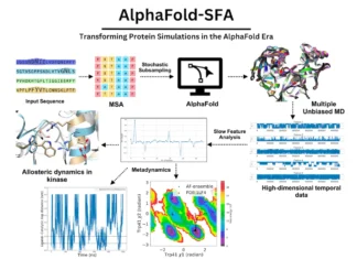 Unlocking Protein Secrets: AlphaFold-SFA’s Breakthrough in Cryptic Pocket Discovery Unlocking Protein Secrets: AlphaFold-SFA's Breakthrough in Cryptic Pocket Discovery