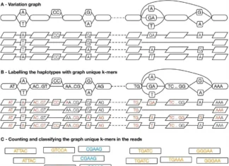 Personalizing Pangenomes: A New Approach to Reduce Reference Bias Personalizing Pangenomes: A New Approach to Reduce Reference Bias