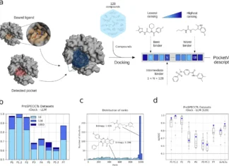 Unveiling Druggable Pockets with PocketVec: A Comprehensive Approach with Binding Site Descriptors Unveiling Druggable Pockets with PocketVec: A Comprehensive Approach with Binding Site Descriptors
