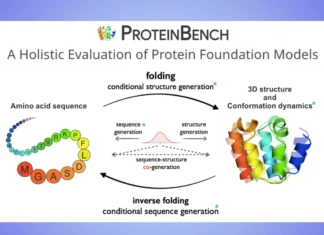ProteinBench: Unveiling the True Potential of Protein Foundation Models ProteinBench: Unveiling the True Potential of Protein Foundation Models