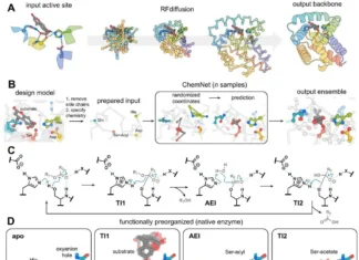 Shaping the Future of Enzyme Catalysis: Advances in the Computational Design of Serine Hydrolases Shaping the Future of Enzyme Catalysis: Advances in the Computational Design of Serine Hydrolases