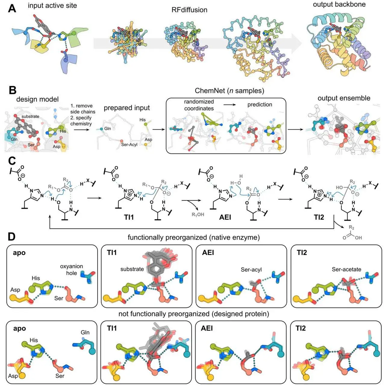 Shaping The Future Of Enzyme Catalysis Advances In The Computational Shaping The Future Of Enzyme Catalysis Advances In The Computational