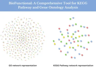 Meet BioFunctional: A Comprehensive Tool for KEGG Pathway and Gene Ontology Analysis BioFunctional: Your All-in-One Tool for KEGG Pathway and Gene Ontology Analysis