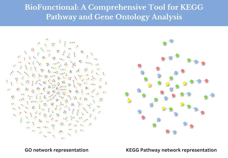 BioFunctional: Your All-in-One Tool for KEGG Pathway and Gene Ontology Analysis