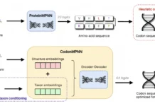 The Future of Protein Engineering: Exploring the Potential of CodonMPNN The Future of Protein Engineering: Exploring the Potential of CodonMPNN