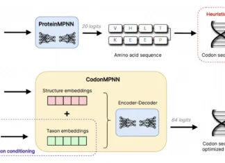 The Future of Protein Engineering: Exploring the Potential of CodonMPNN The Future of Protein Engineering: Exploring the Potential of CodonMPNN