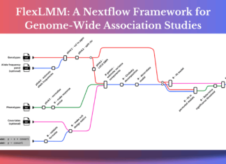 Understanding FlexLMM: A Nextflow Framework for Genome-Wide Association Studies Understanding FlexLMM: A Nextflow Framework for Genome-Wide Association Studies