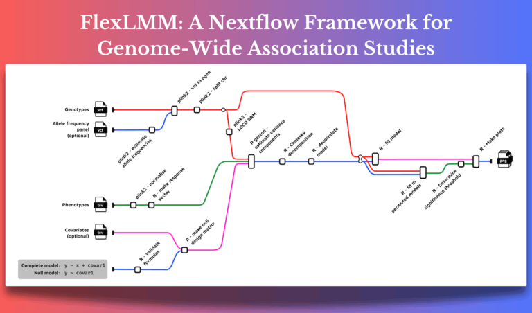 Understanding FlexLMM: A Nextflow Framework for Genome-Wide Association Studies