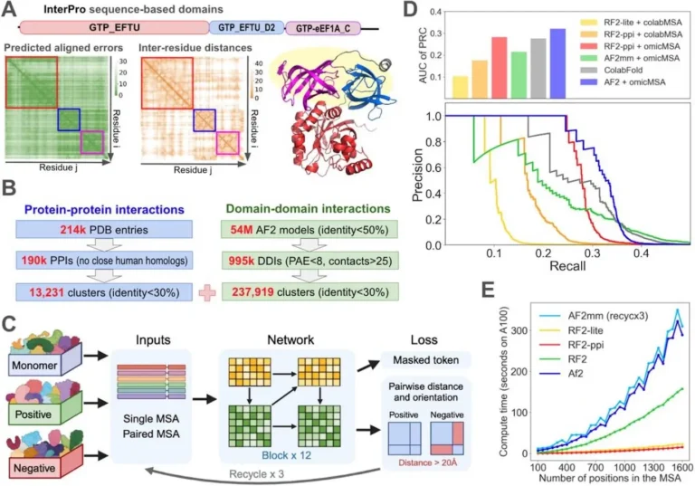 Computing the Human Interactome: A Deep Dive into Protein Interactions